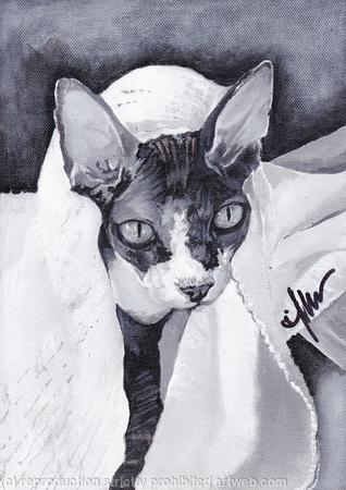 'Undercover Brother'