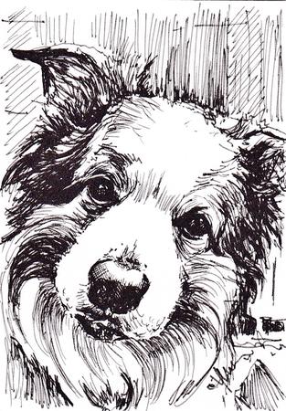 Hanging on My Every Word