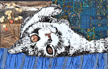 'The Naughty Tortie'