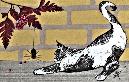 'Incey Wincey Spider'