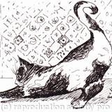 'Incey Wincey Spider'