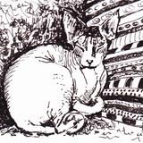 'Wrinkles and Folds'