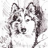 'They Promised Chicken'