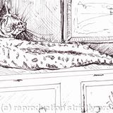 'Pretty as a Picture'