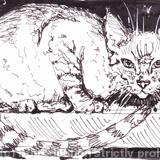 'A Night on the Tiles'