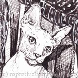 'Sweetness and Light'