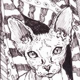 'Anything She Wants'