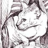 'The Wrinkly Rascal'