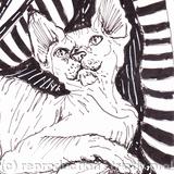 'Wrinkles and Stripes'