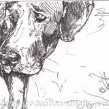 'His Master's Voice'