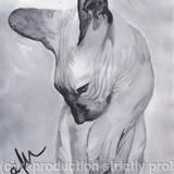 'The Purring Prince'