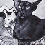 'A Taste Of The Orient'