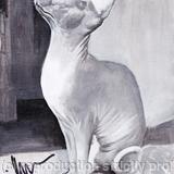 'Chicken For Dinner'