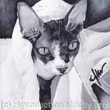 'Undercover Brother'