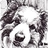 Hanging on My Every Word