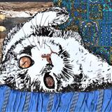 'The Naughty Tortie'