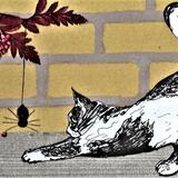 'Incey Wincey Spider'