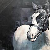 Pollyanna - commission