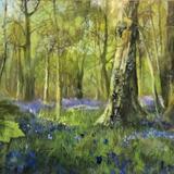Bluebell Woods