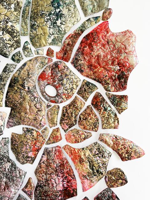 Caught in the Mirror