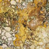 Caught in the Mirror 2