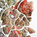 Caught in the Mirror