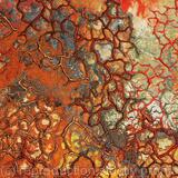 Drought of Honesty detail