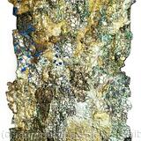 Caught in the Mirror -2