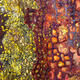 Phoenix detail