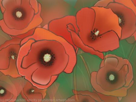 Poppies