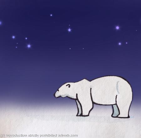 Svalbard Bear