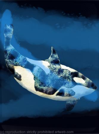 Orca