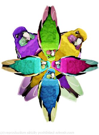 Rainbow Birds