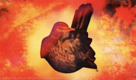 Fire Blackbird
