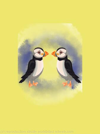 Puffins