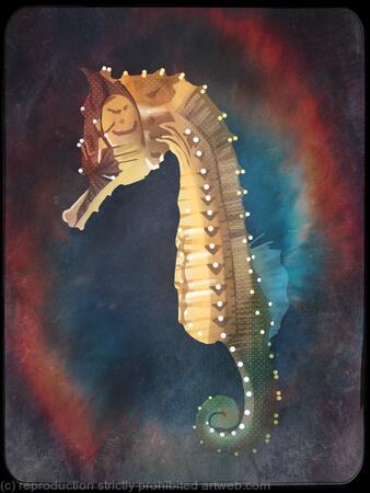 Seahorse
