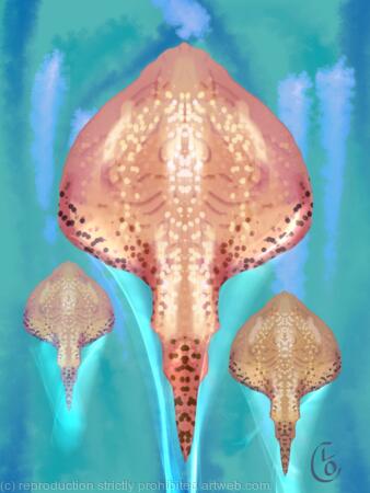 Undulate Ray