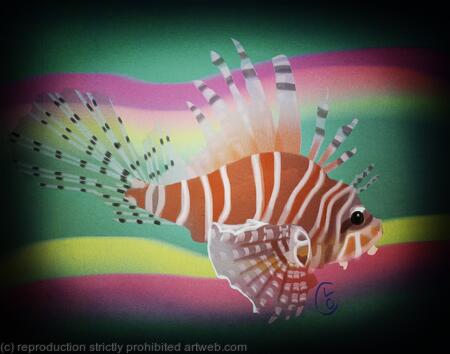 Zebra Lionfish