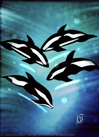Hourglass Dolphin
