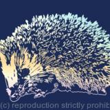 Hedgehog