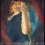 Seahorse