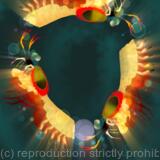 Dance of the Mantis Shrimp