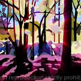 Wimbledon Common Woods