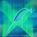 Arctic Narwhal