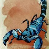 Scorpion
