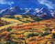 Autumn Forest