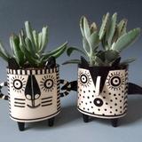 IMG_20171215_142319756