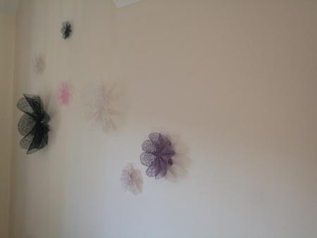 Selection of Blooms on wall