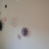 Selection of Blooms on wall