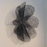 Black Bloom Wall Adornment